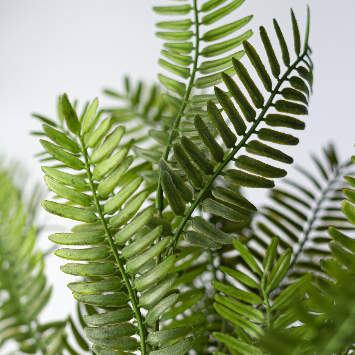 23" Soft Touch Plastic Fern Bush: Two Tone Green