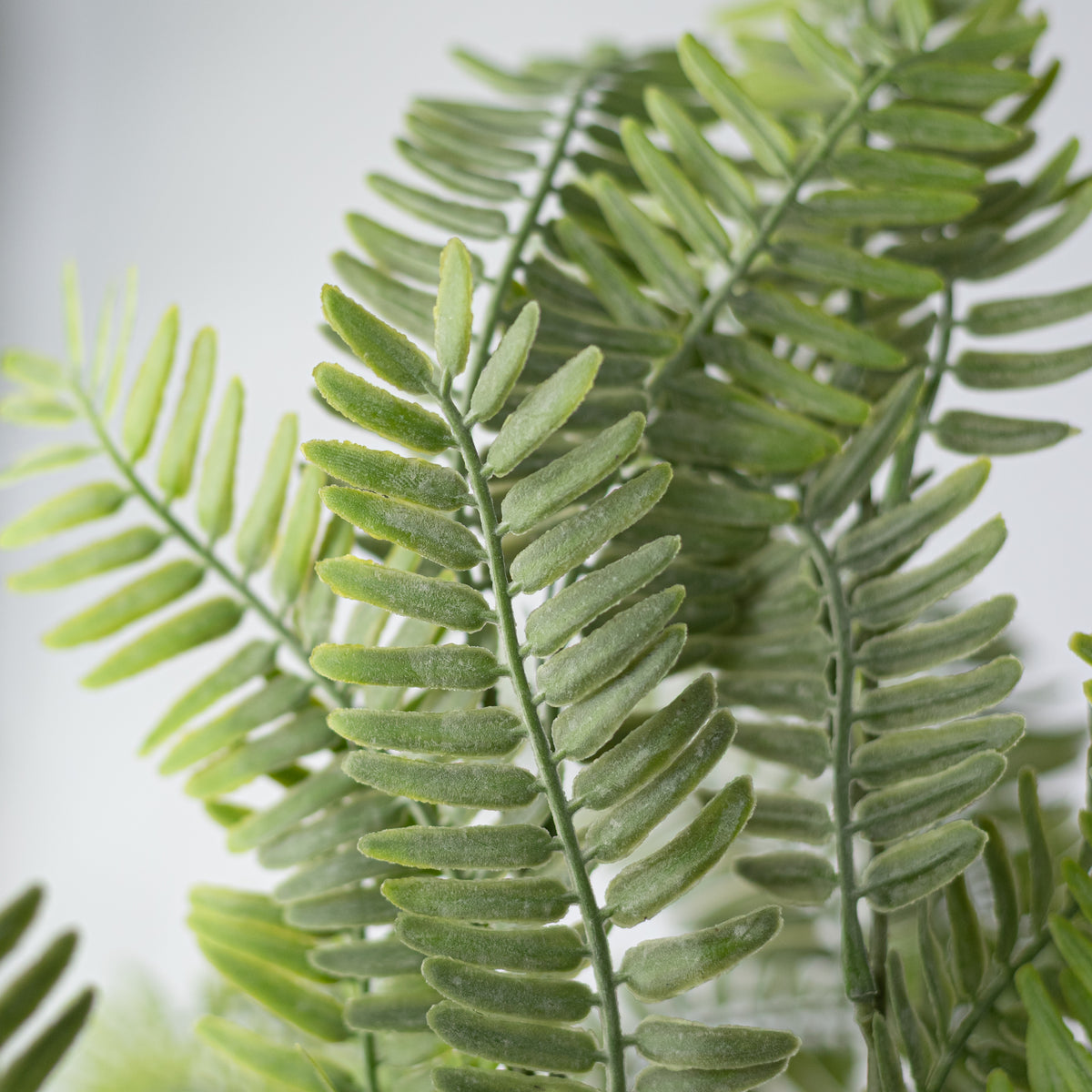 23" Soft Touch Plastic Fern Bush: Two Tone Light Green