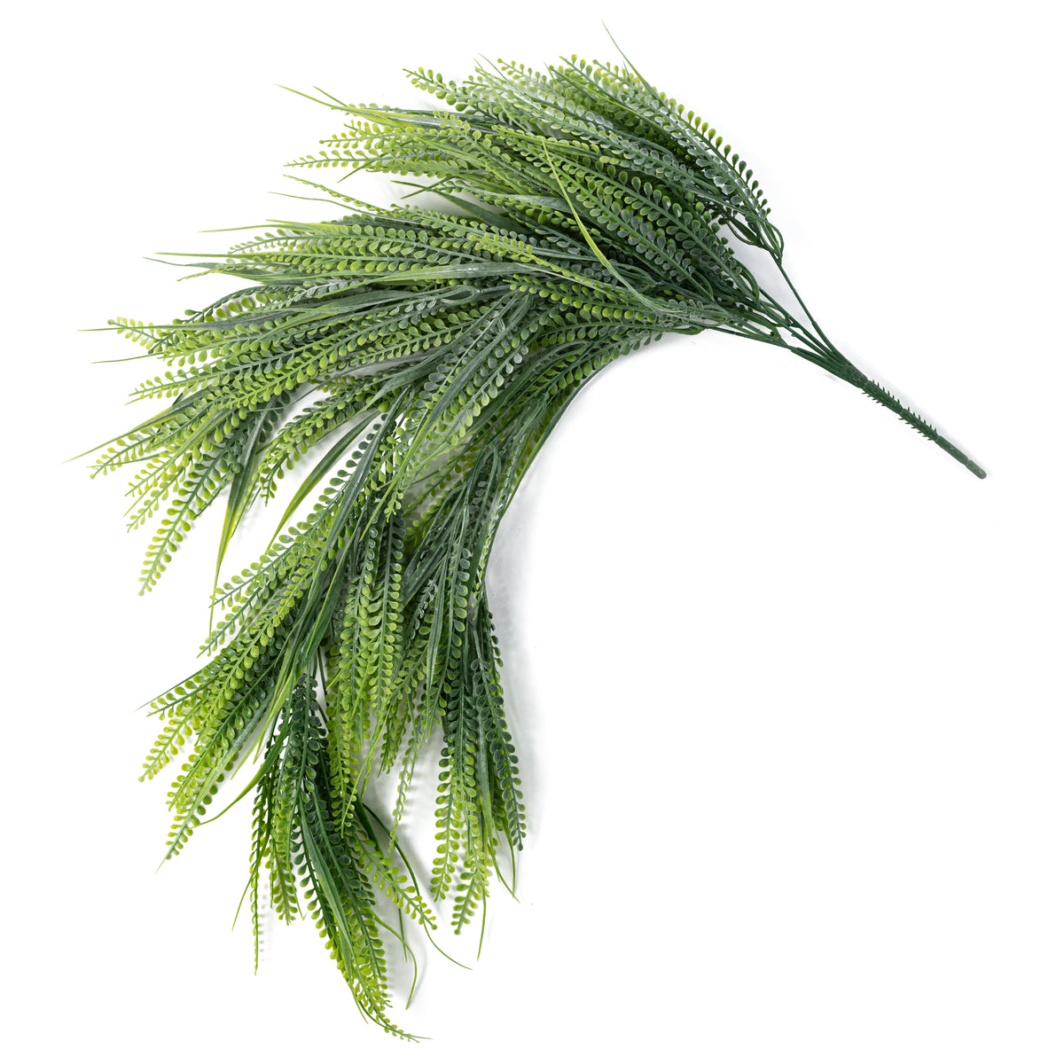 32" BUDGET Button Fern Hanging Bush: Spring Green (5 Stem)