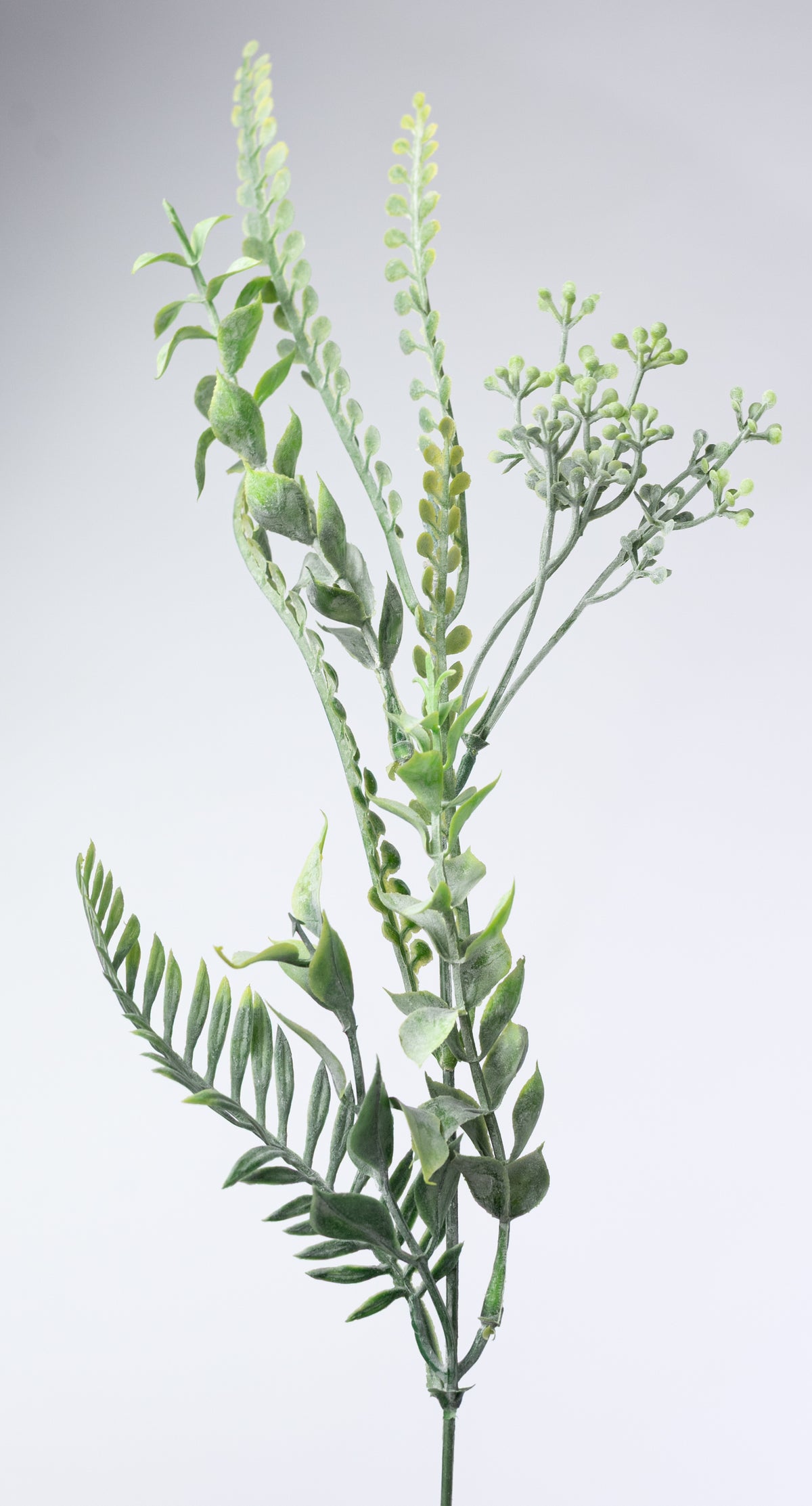 23" Mixed Button Fern & Greenery Bush: Dusty Green (12 Stem)