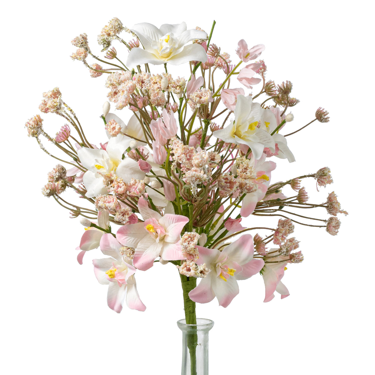 18" Mixed Wild Rose Bush: Pink & White
