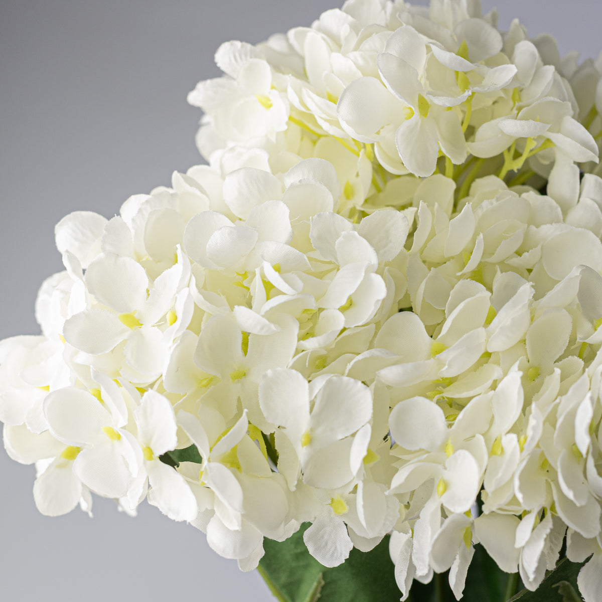 19" Hydrangea Bush: Cream (5 Stem)