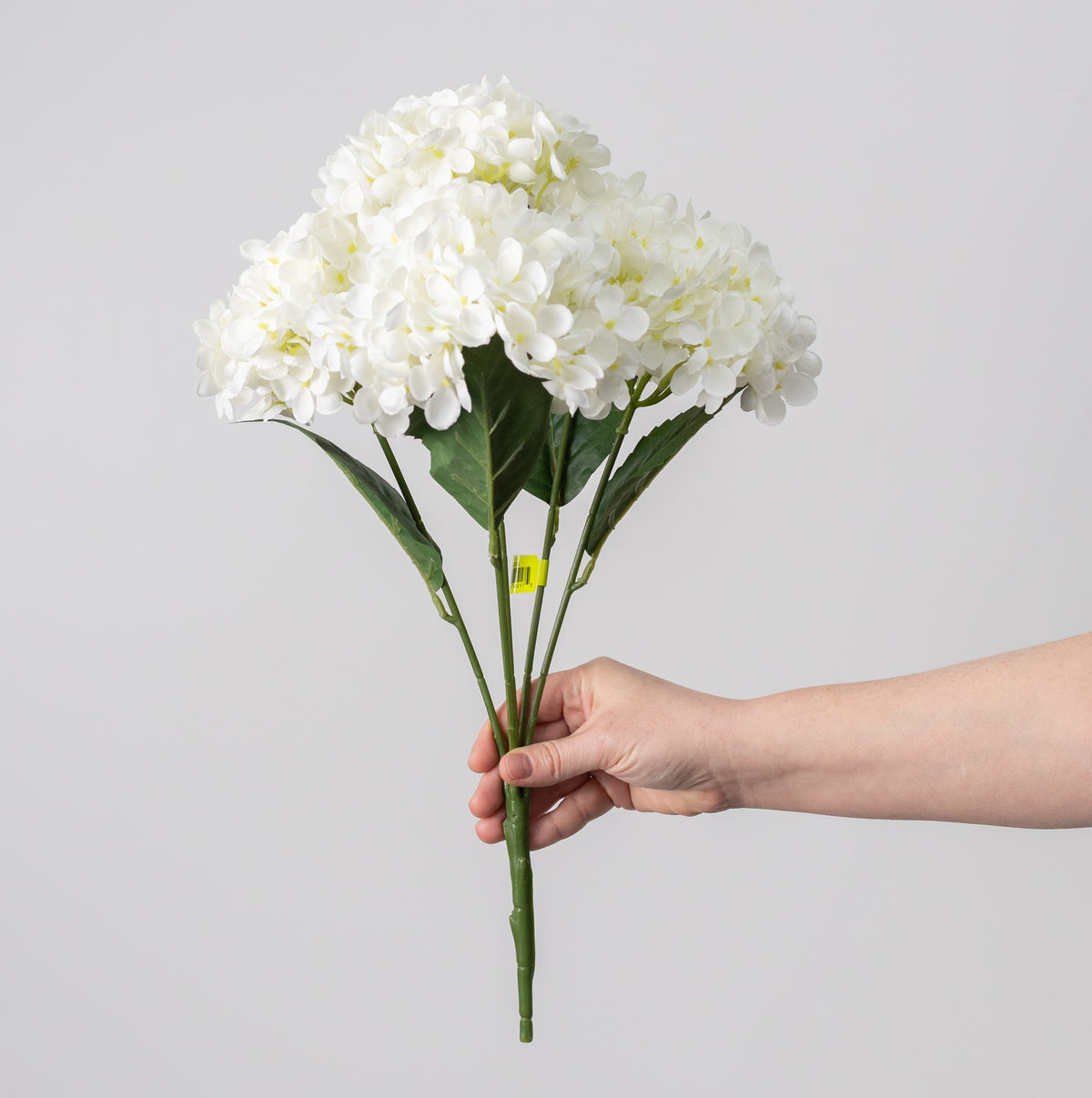 19" Hydrangea Bush: Cream (5 Stem)