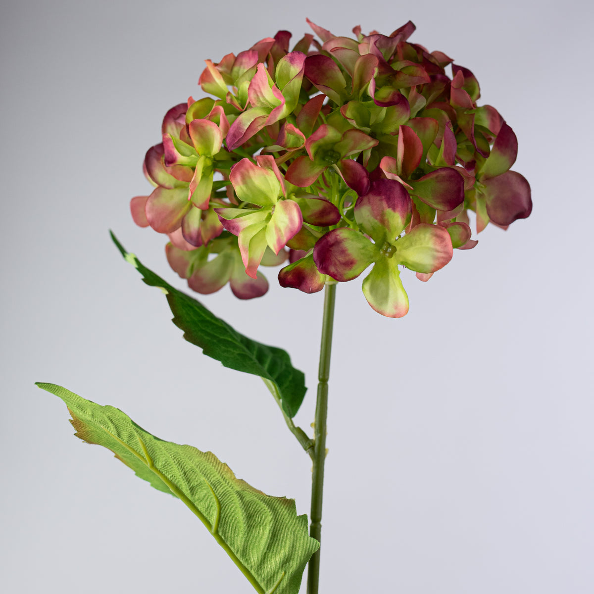 20" Hydrangea Bush: Variegated Mauve & Green (5 Stem)