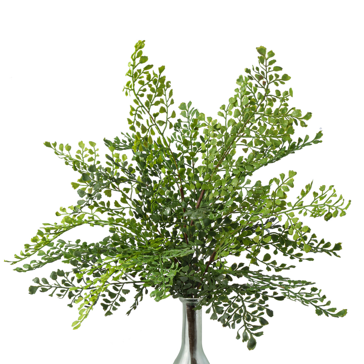 19" Soft Touch Maidenhair Fern Bush: Green