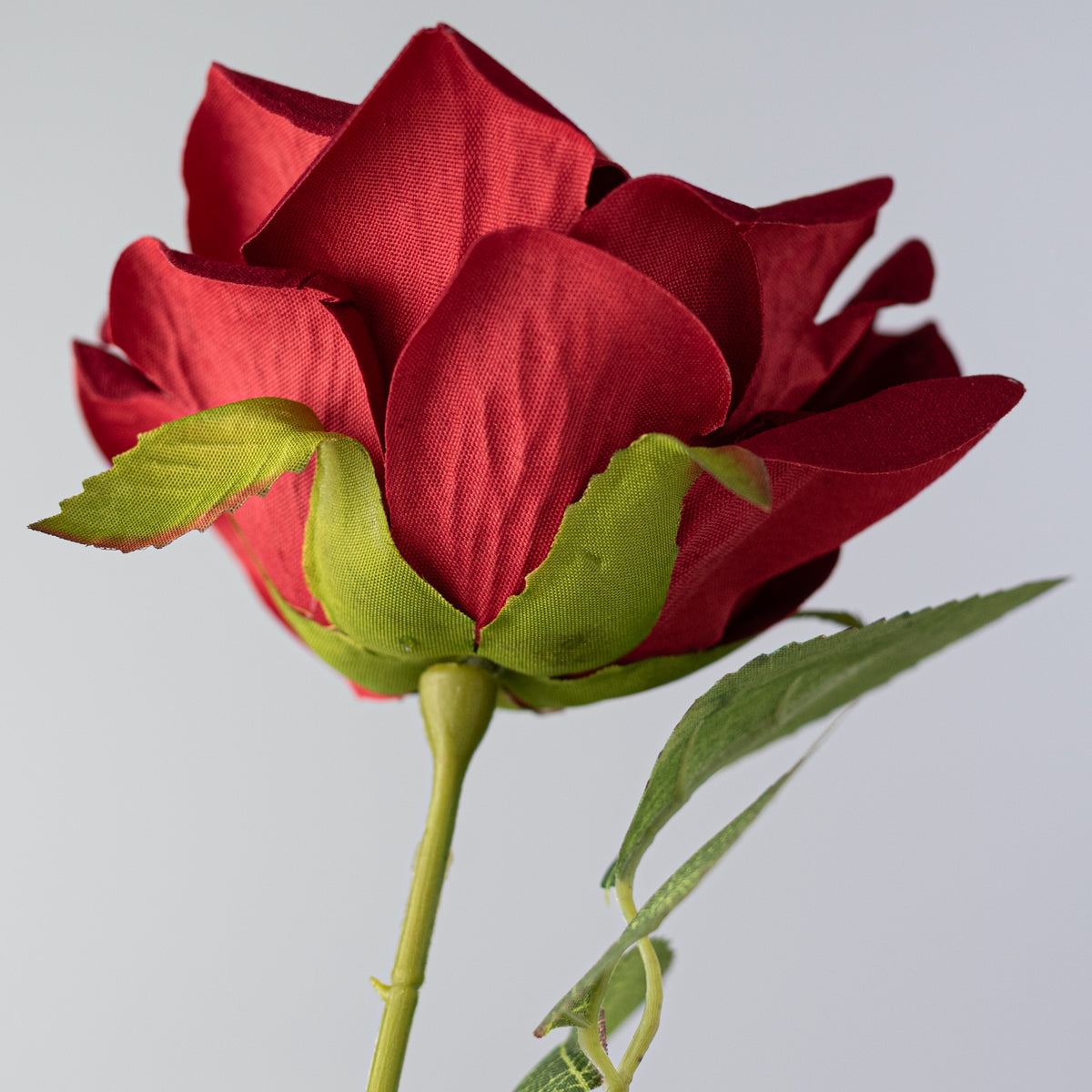 24" Luxe Velvet Roses Spray: Red
