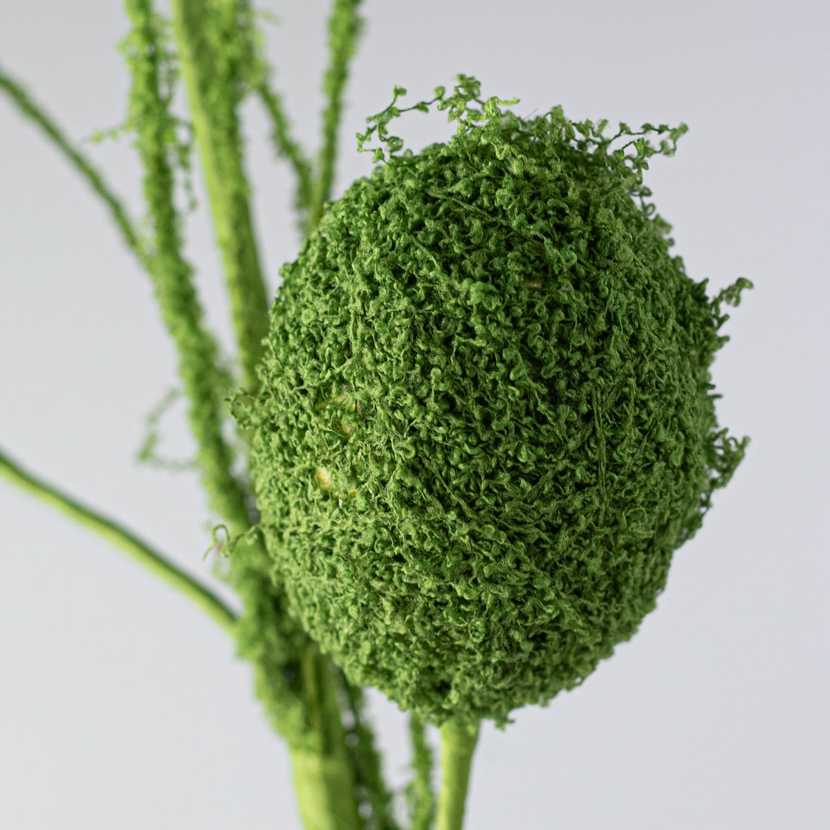 22" Moss Eggs Spray: Green