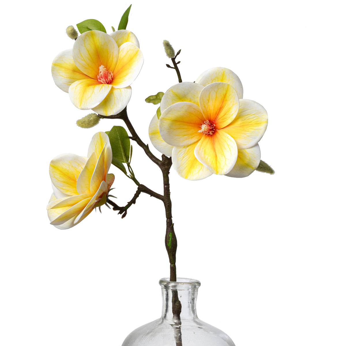 21" Soft Touch Magnolias & Buds Spray: Cream & Yellow