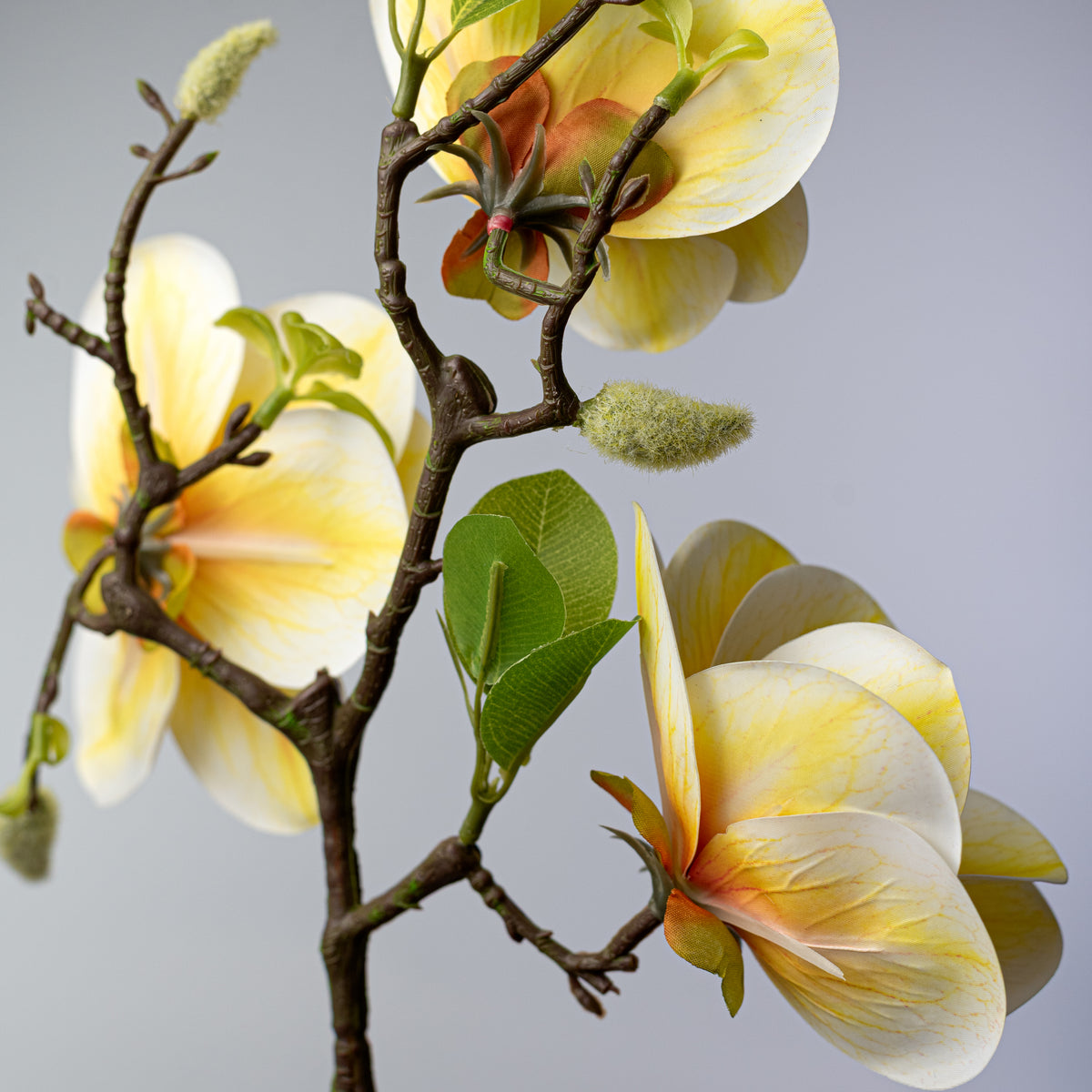 21" Soft Touch Magnolias & Buds Spray: Cream & Yellow