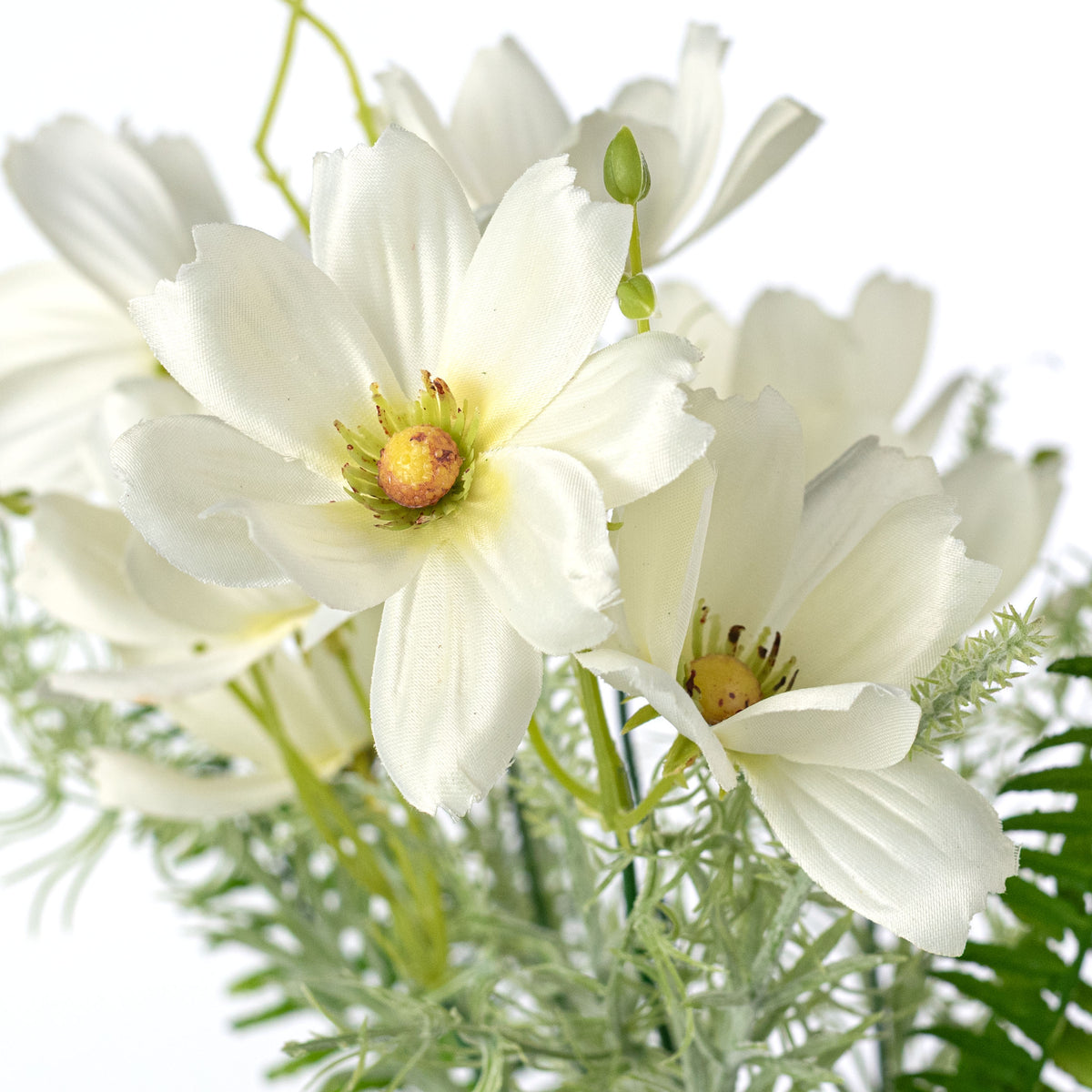 16" Cosmos Bush: Cream (5 Stem)