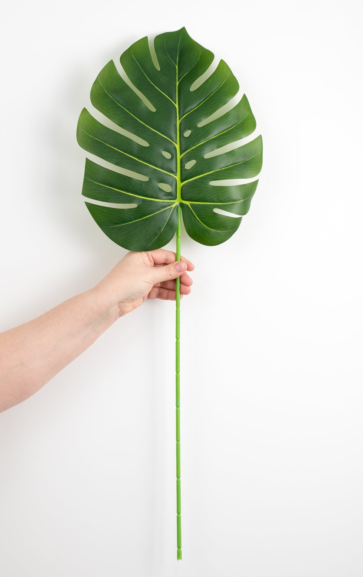 30" Large Monstera Leaf Stem detail photo 3