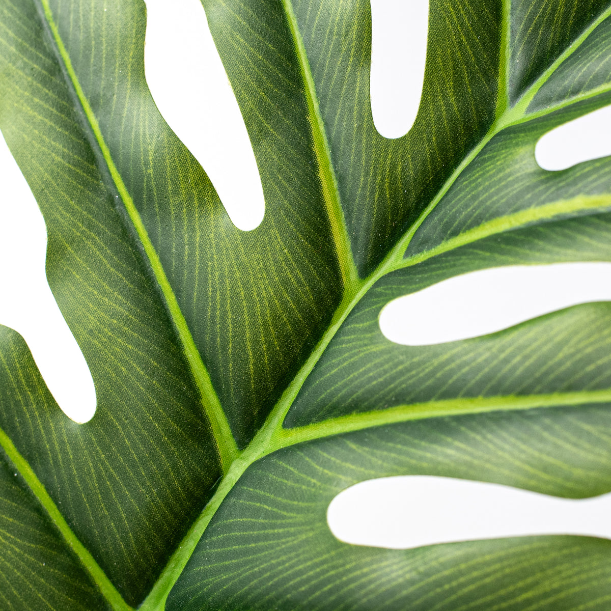 30" Large Split Leaf Philodendron Stem Lifestyle Photo