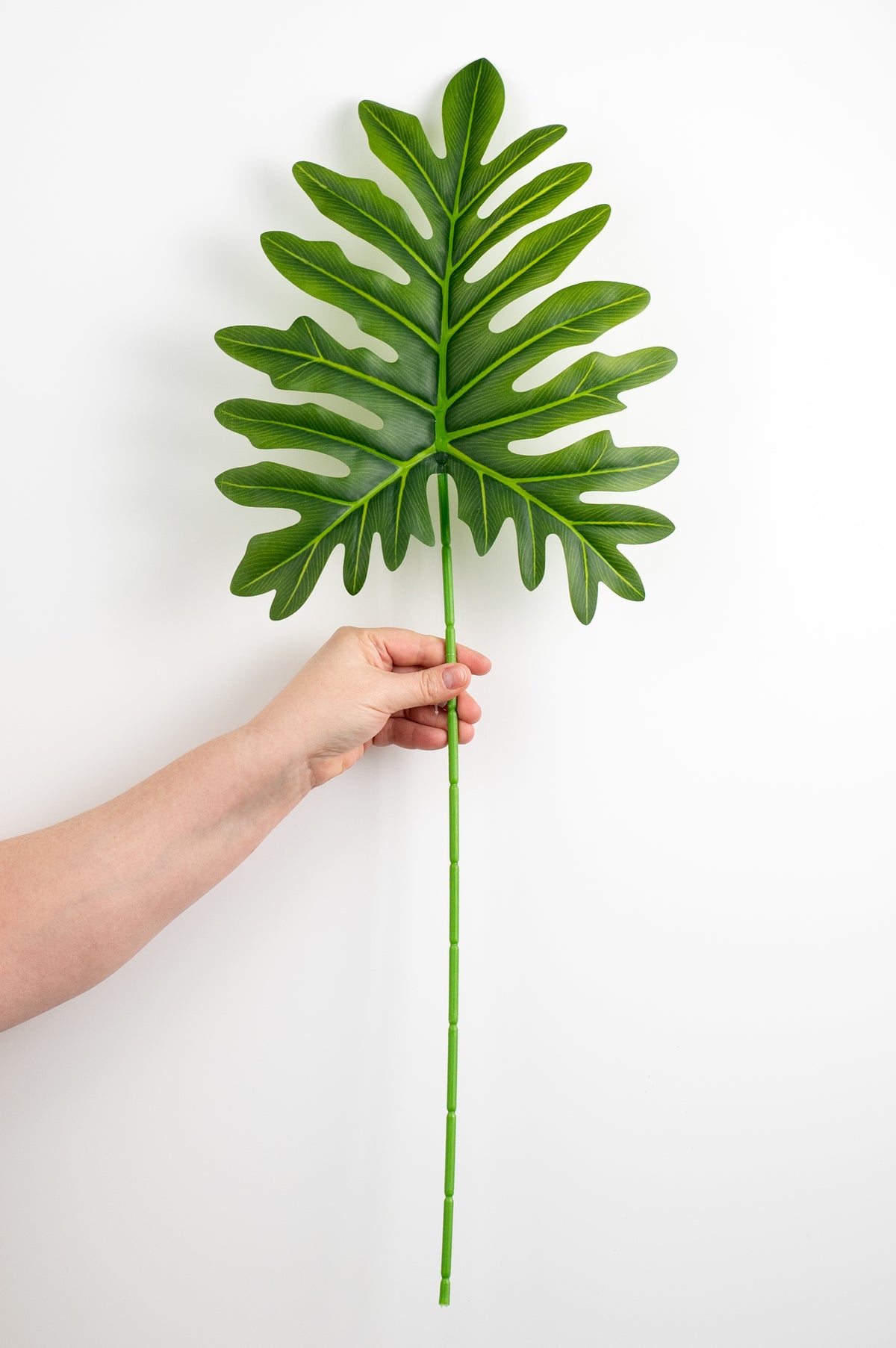30" Large Split Leaf Philodendron Stem detail photo 3