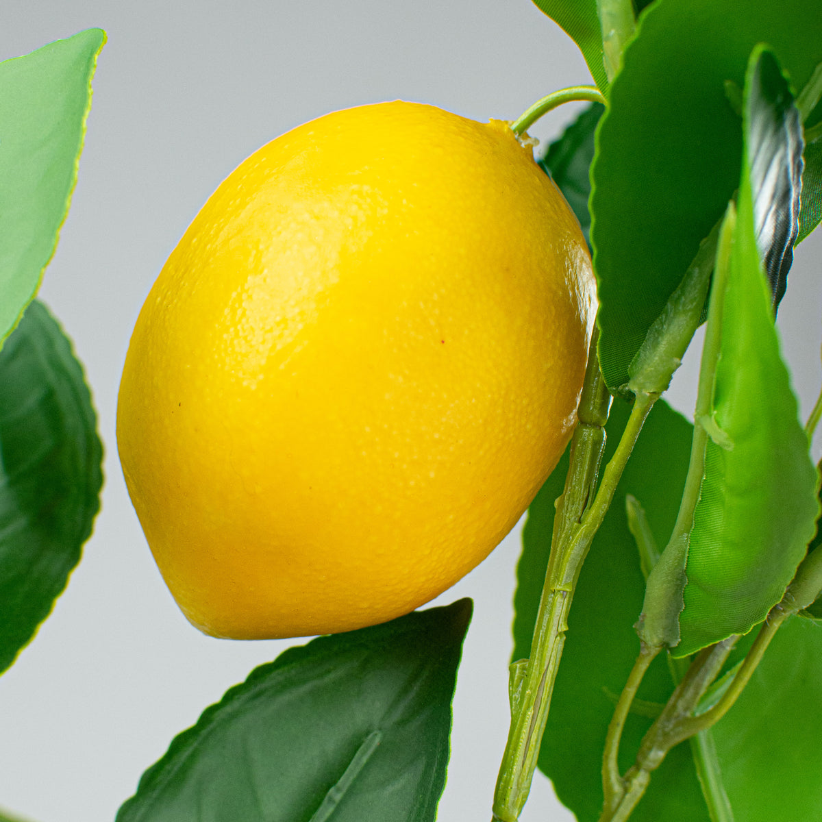 29" Lemon Spray detail photo 4