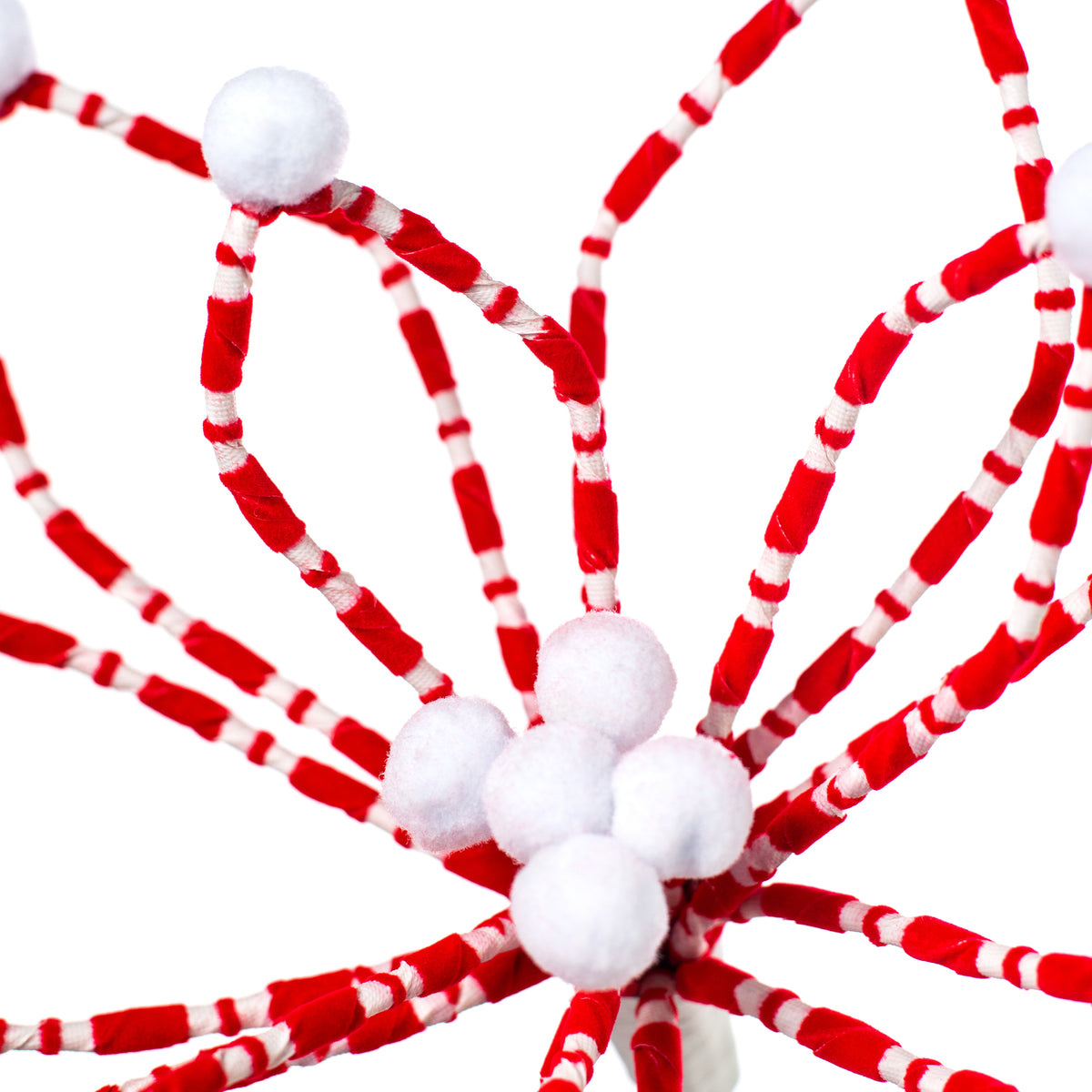 22" Loop Poinsettia Stem: Red & White Lifestyle Photo