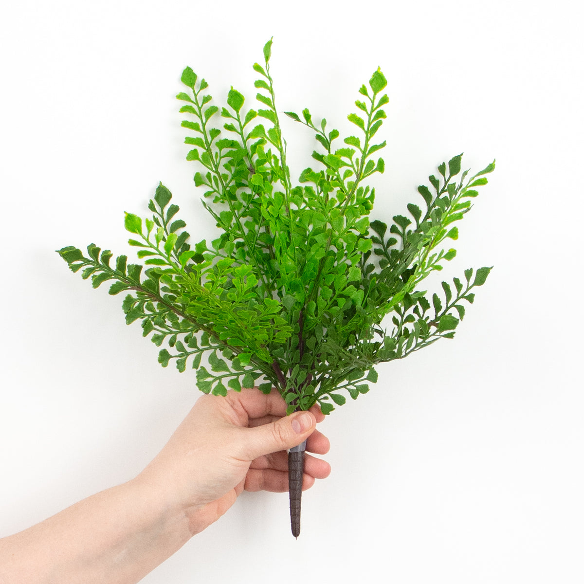 13" Maiden Hair Fern Bush (UV Shield) detail photo 3