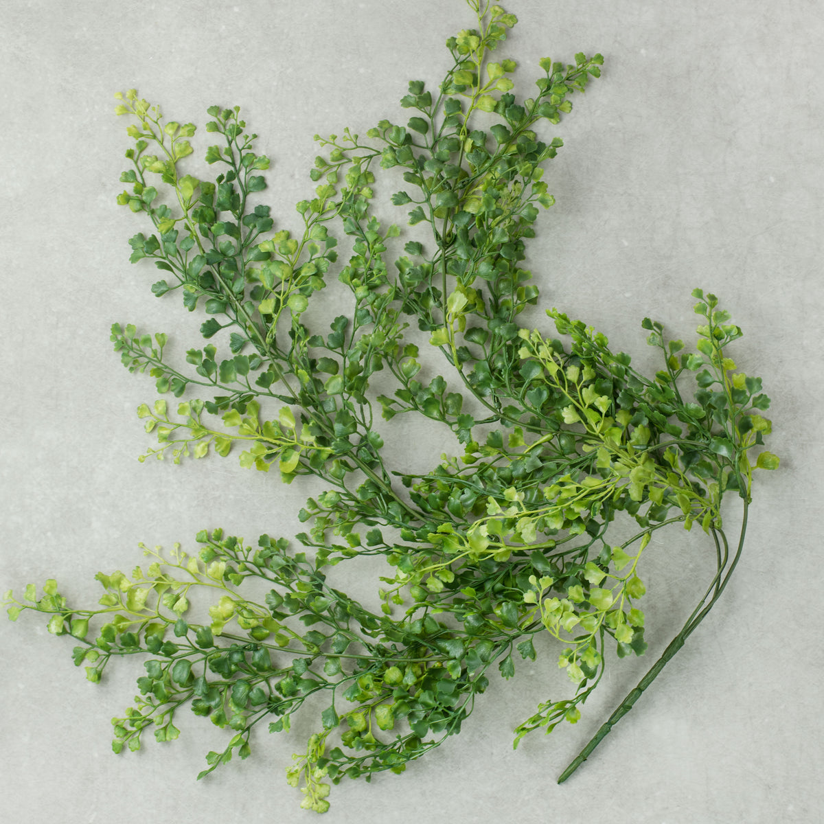 33" Maidenhair Hanging Spray Item Number: 13346GN