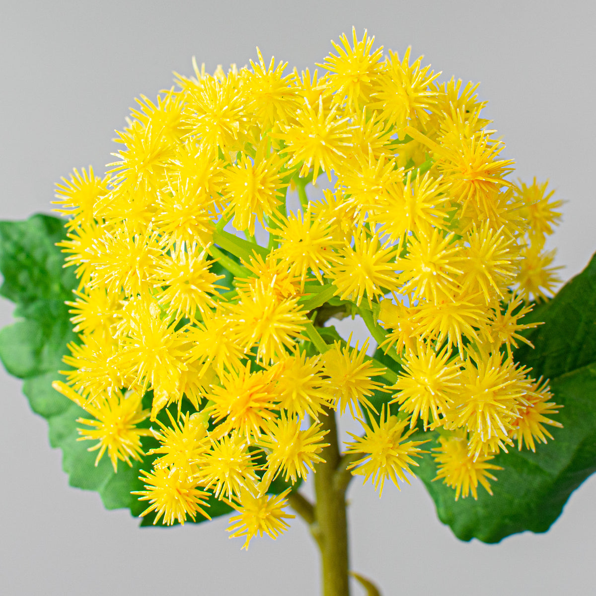 11" Mini Rambutan Pick: Yellow Lifestyle Photo