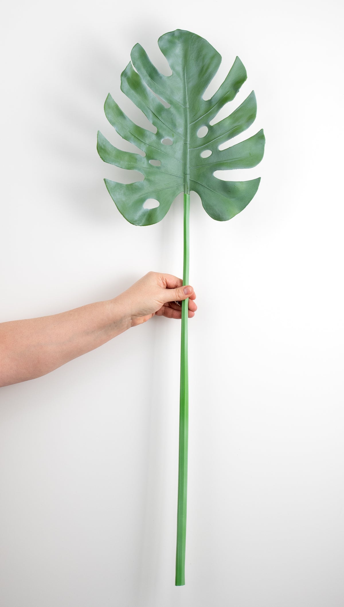 33" Monstera Leaf Stem detail photo 3