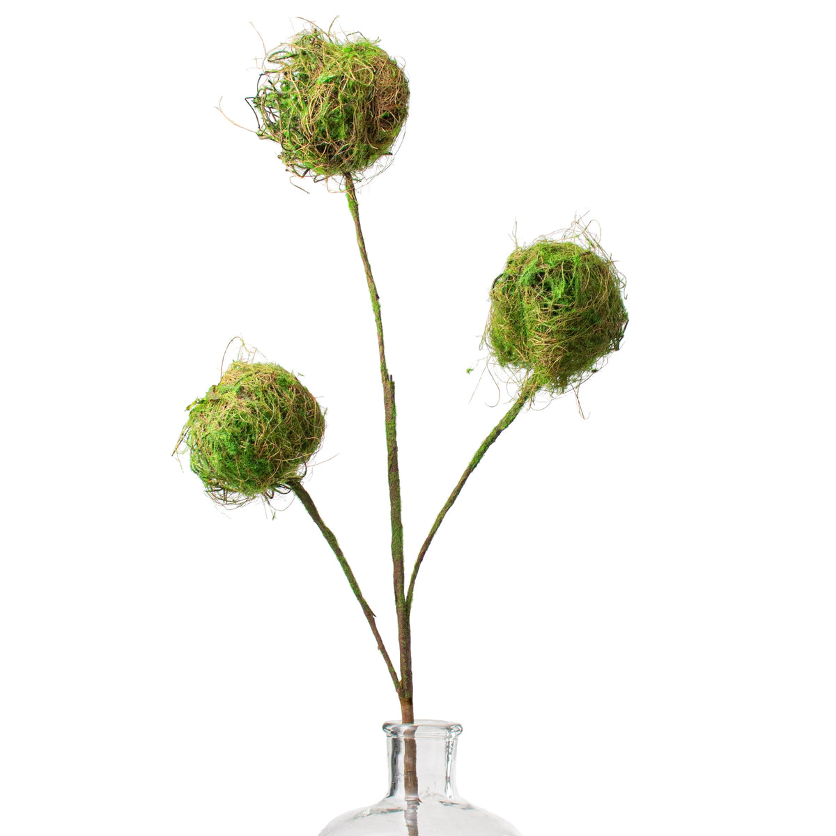 28" Moss Ball Spray Item Number: 136104