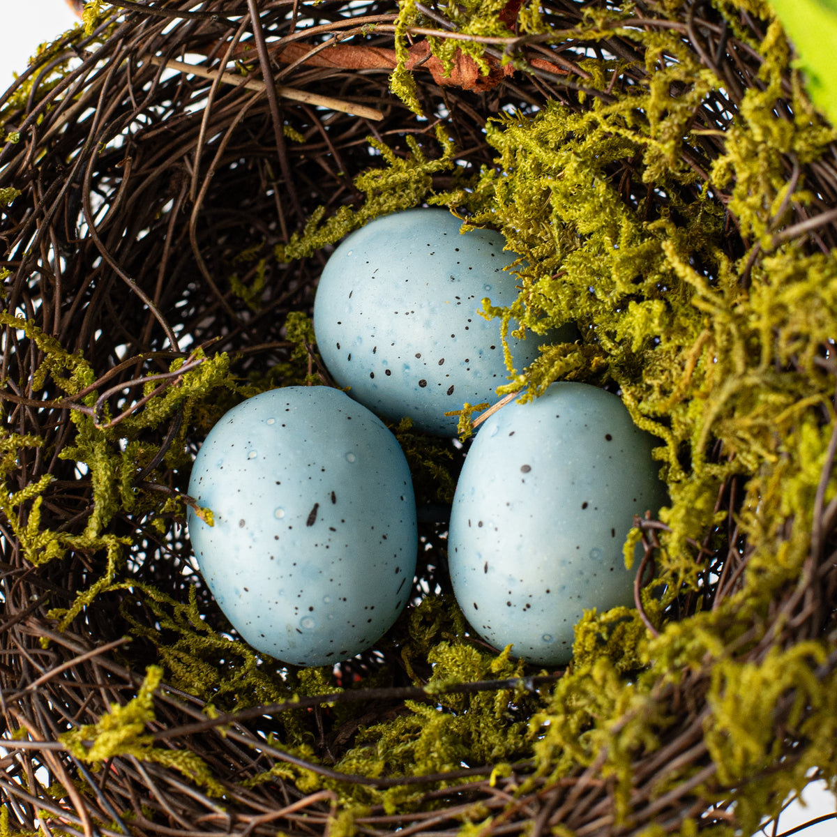 5" Moss Nest with Blue Eggs detail photo 5