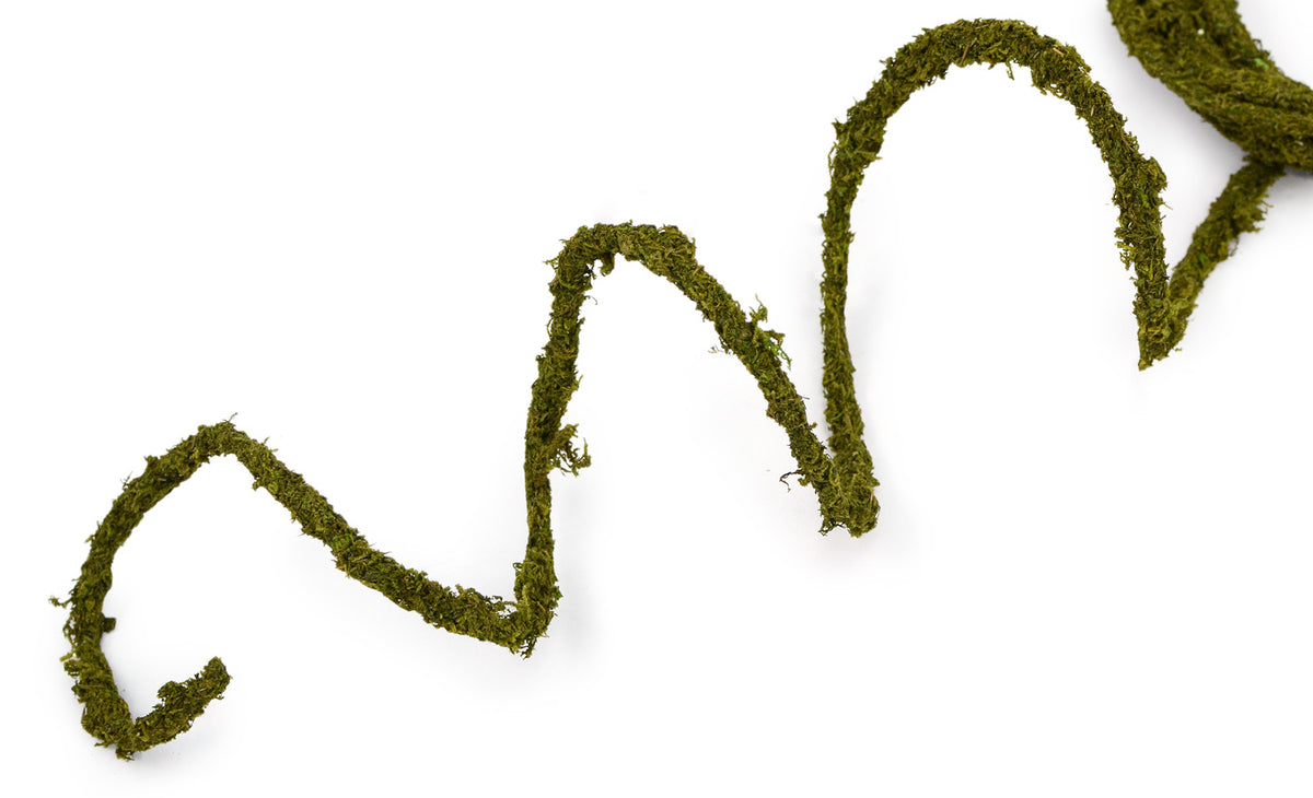 Moss Rope Garland: 25 ft detail photo 4