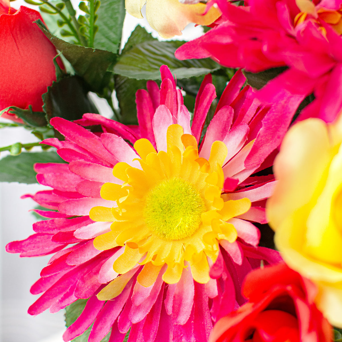 20" Mum Rose Bush: Coral, Fuchsia, Yellow Lifestyle Photo