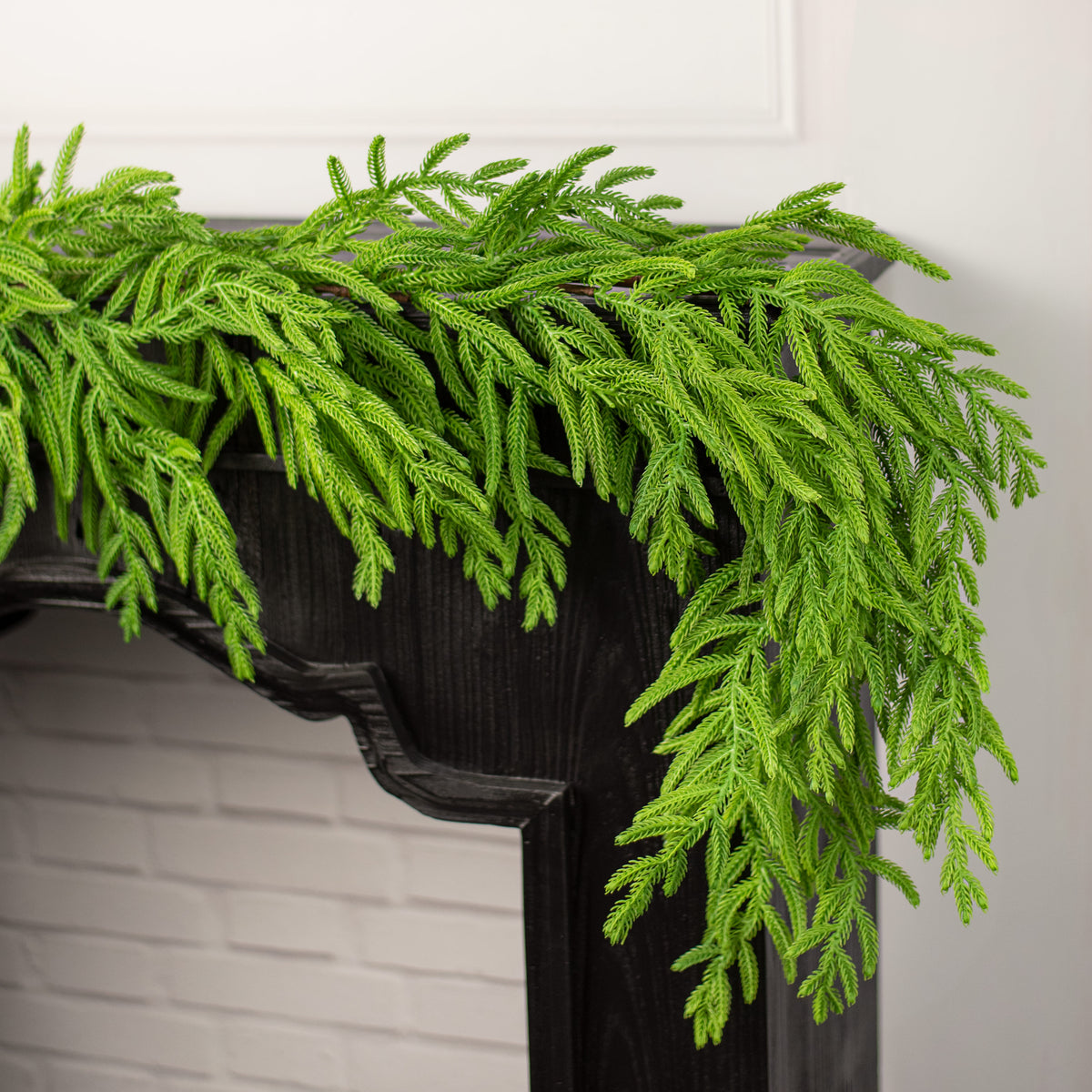 6' Norfolk Pine Garland Lifestyle Photo