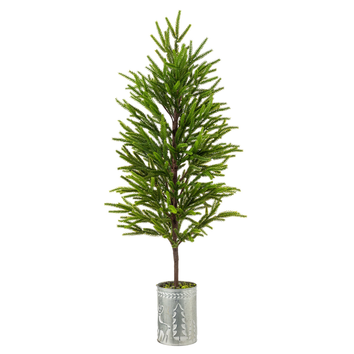 32" Norfolk Pine Potted Tree Item Number: 2838218GR