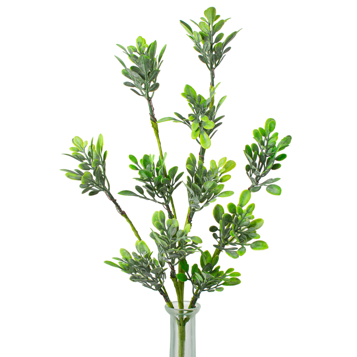 18" Oregonia Greenery Leaves Pick Item Number: 31275