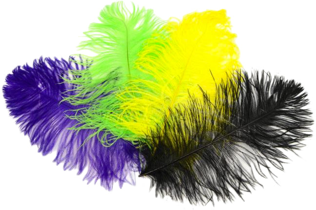 15" Ostrich Feather: Black detail photo 3