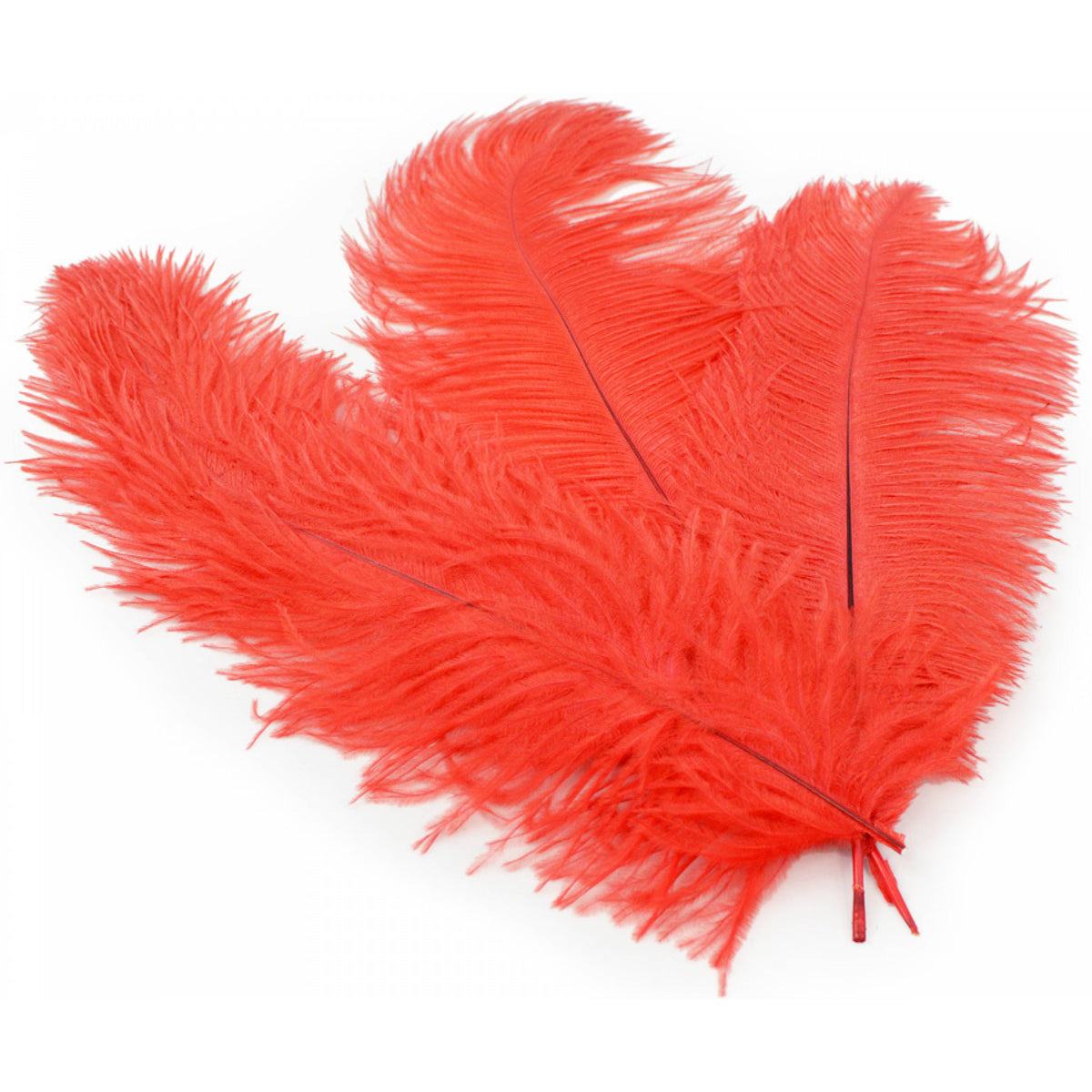 15" Ostrich Feather: Red Lifestyle Photo