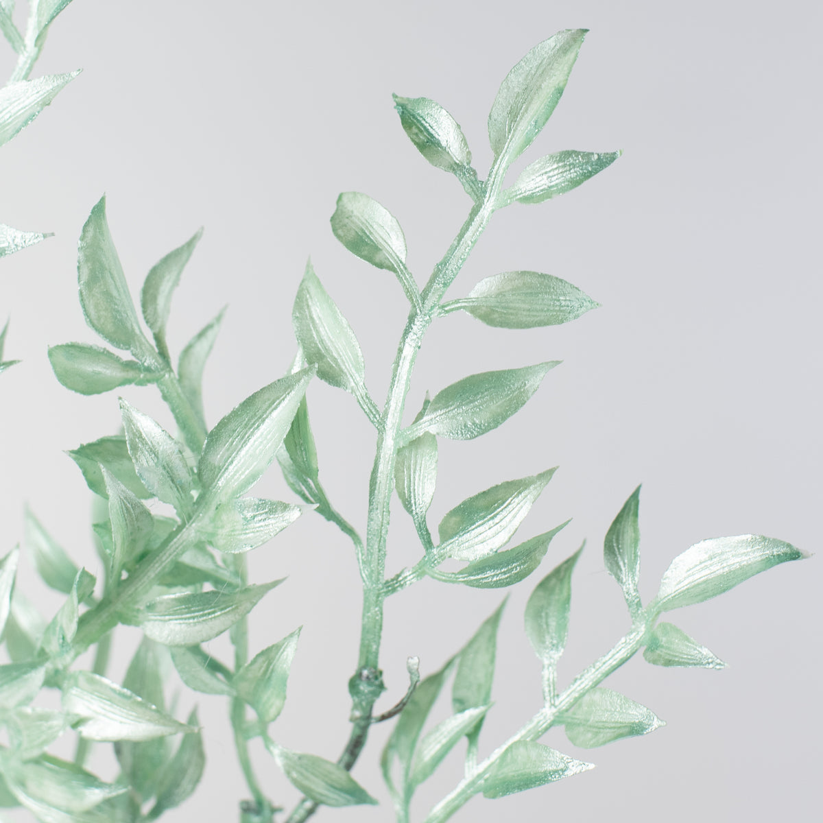 25" Pearl Ruscus Spray: Mint Lifestyle Photo