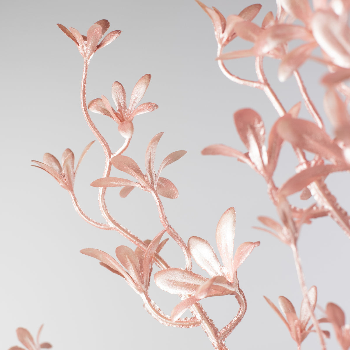 26" Pearl Tweedia Spray: Pink Lifestyle Photo