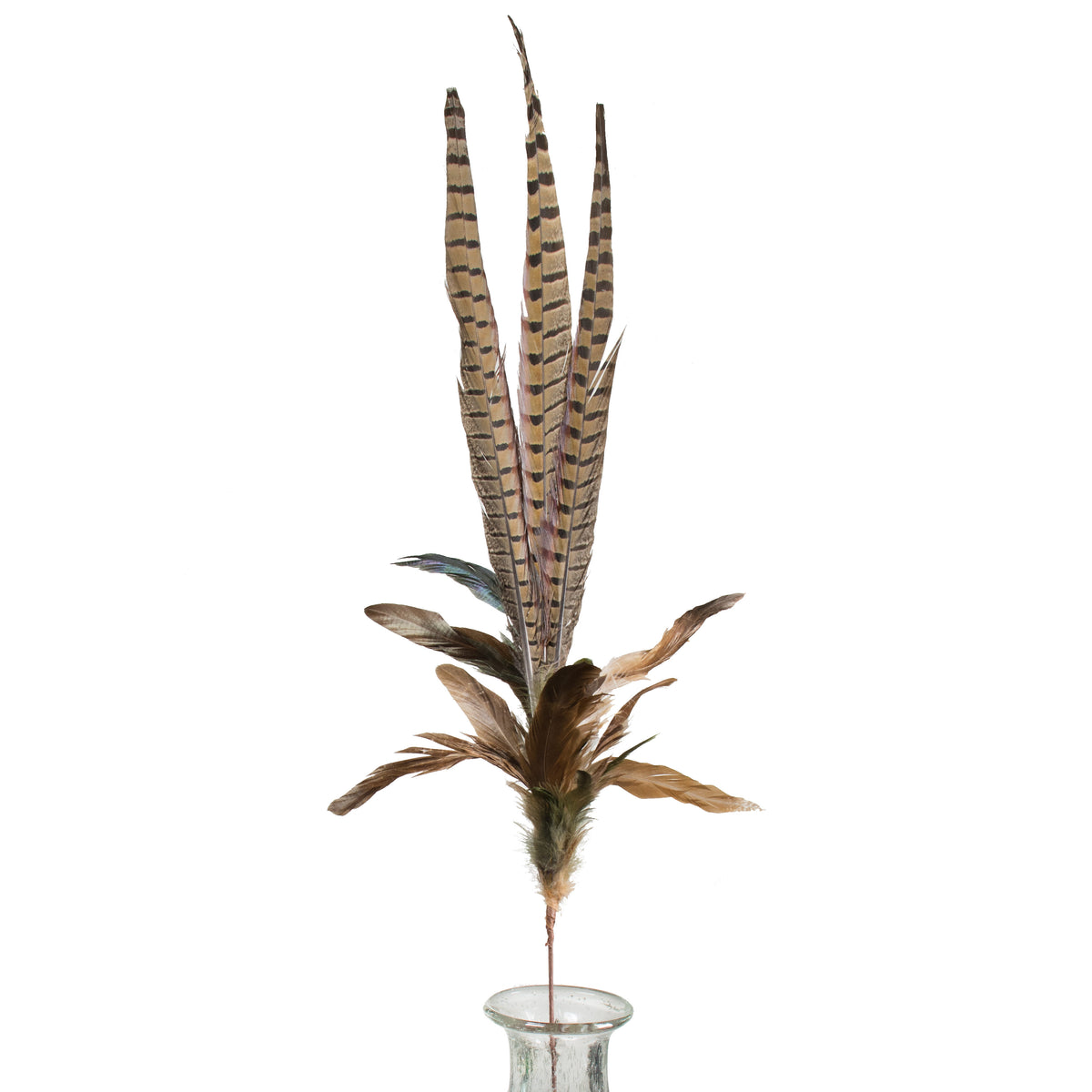 35" Pheasant Feather Spray Item Number: 2852303