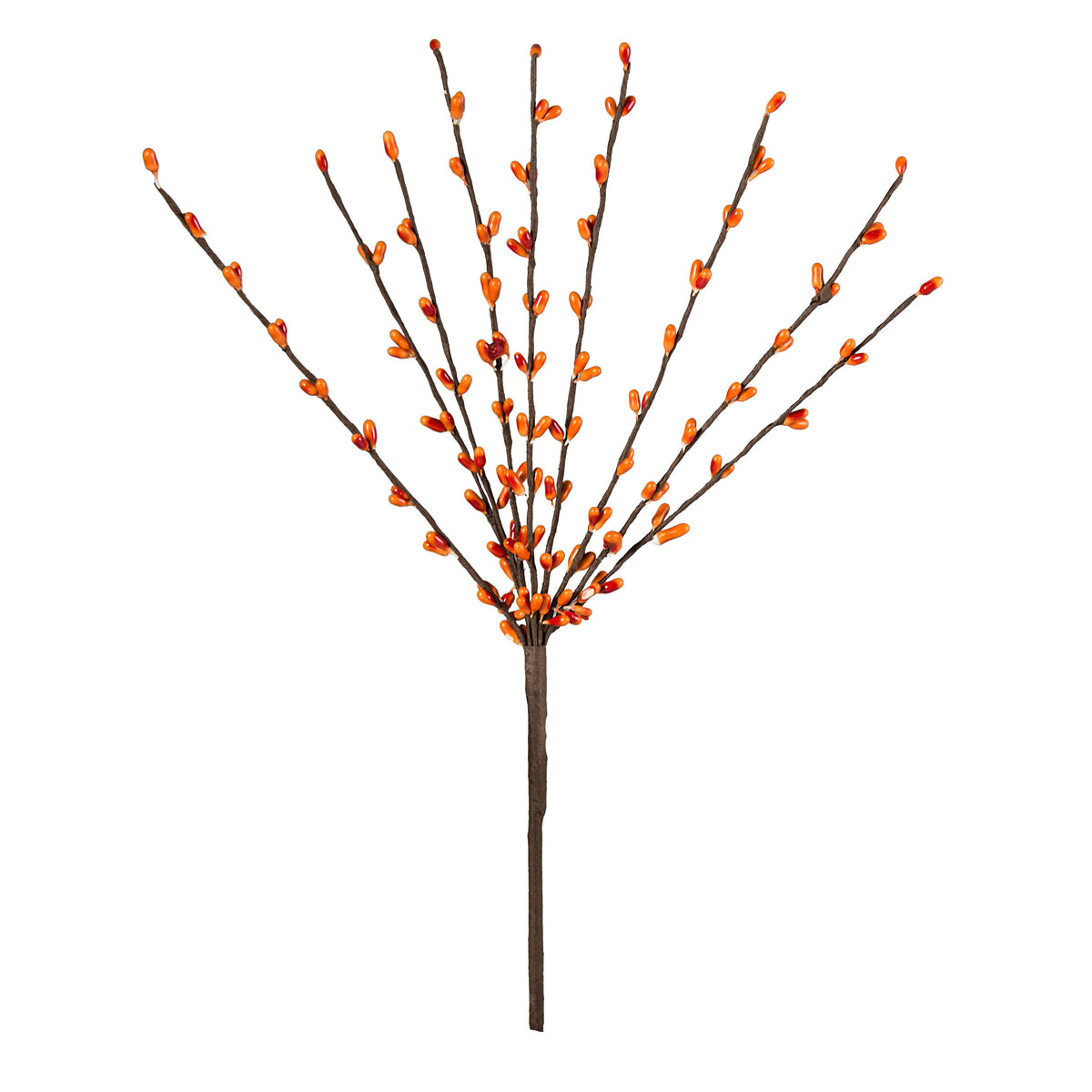 12" Pip Berry Pick: Orange Item Number: ISB13800OR