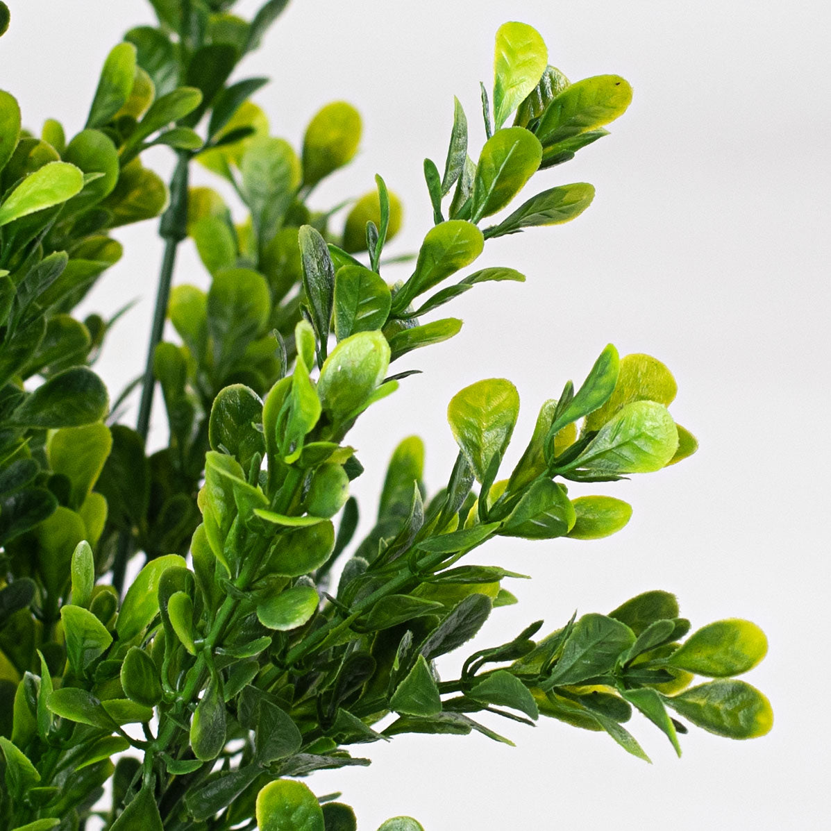 15" Plastic Boxwood Bush Lifestyle Photo