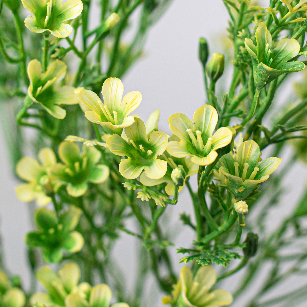 14" Plastic Wax Flower Bush: Cream Lifestyle Photo
