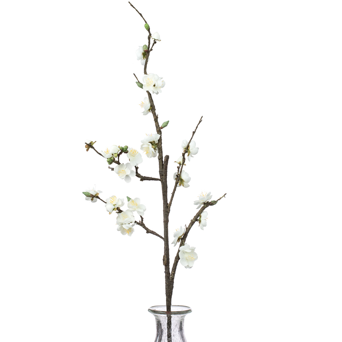 41" Plum Blossom Branch: Cream Item Number: 2285133CR