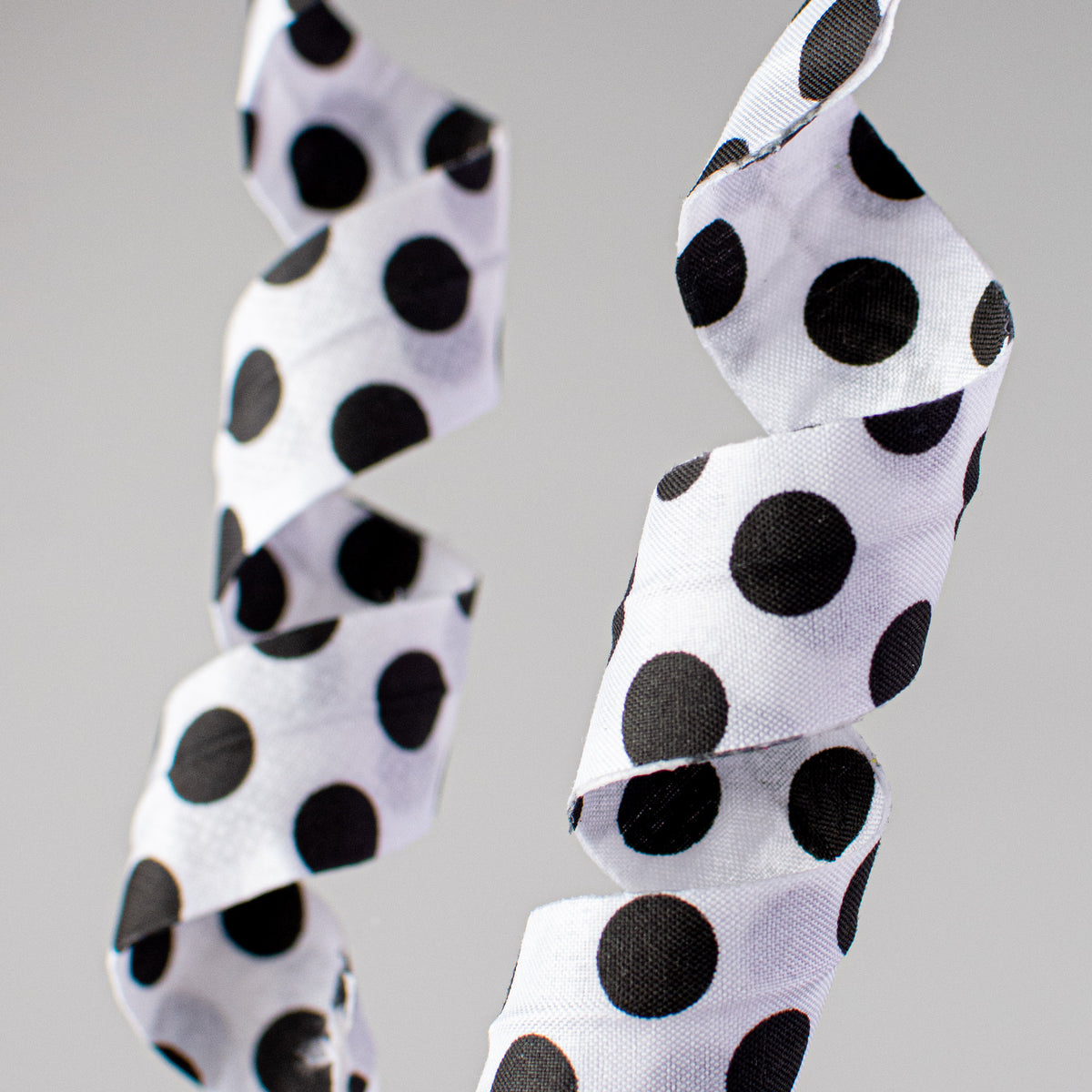 24" Polka Dot Curly Pick: White & Black Lifestyle Photo