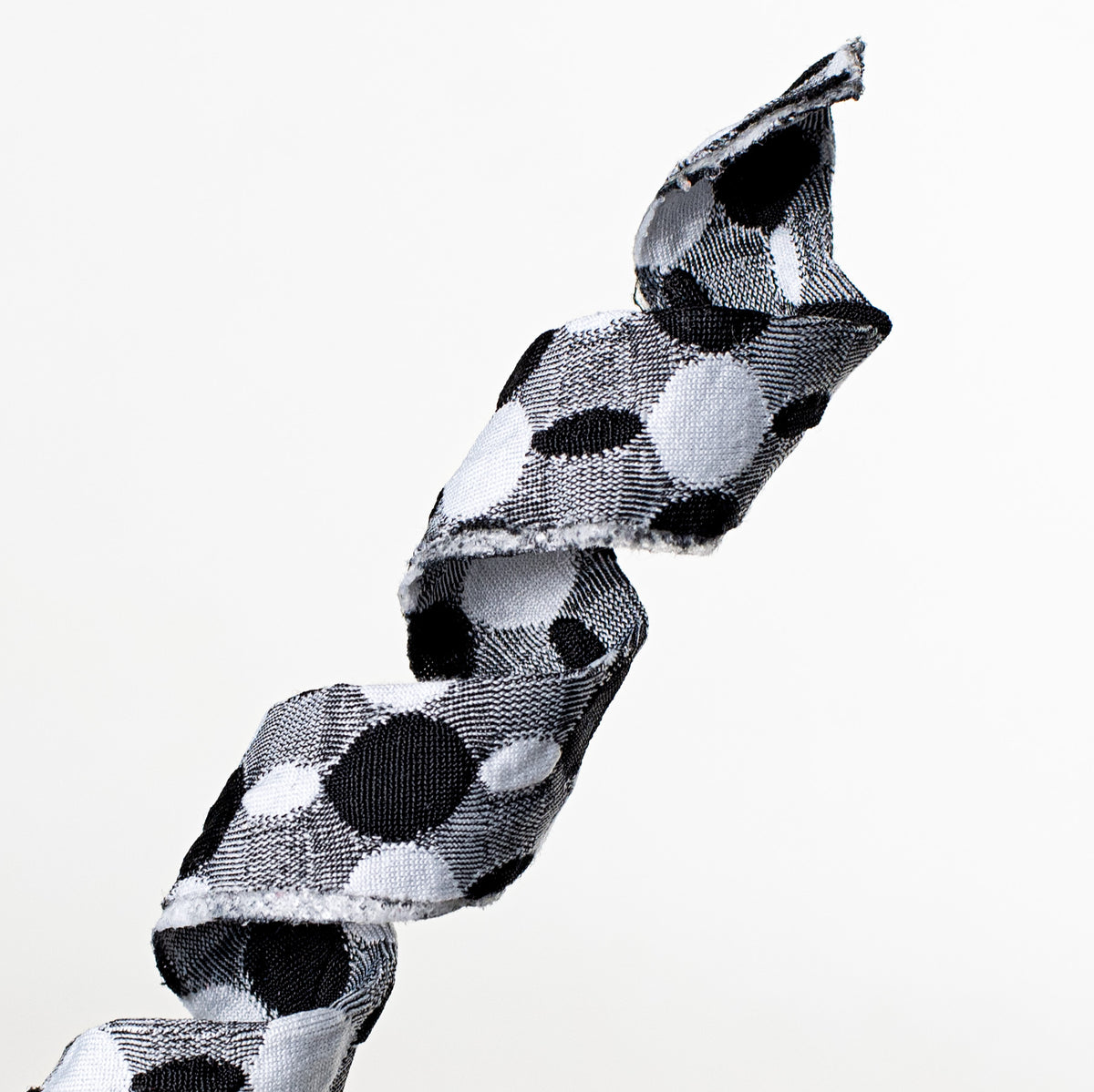 25" Polka Dot Curly Spray: Black & White Lifestyle Photo