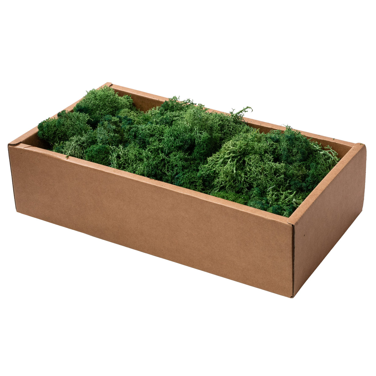 Preserved Reindeer Moss: Two-Tone Green (500 Gram Box) Item Number: TT318209