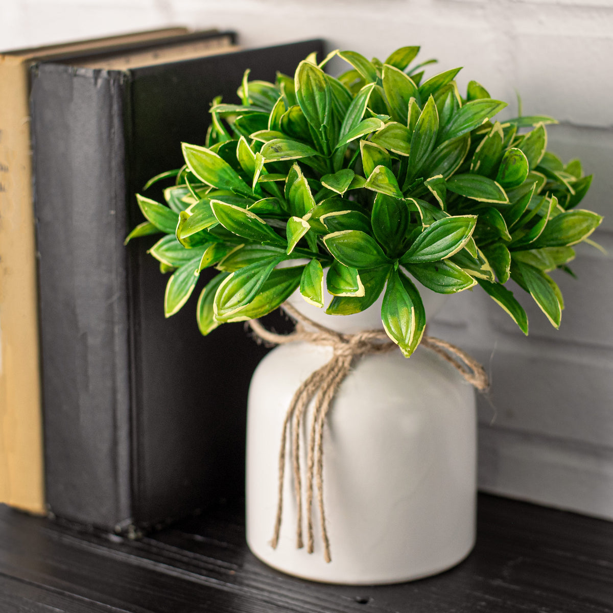 7" Privet Leaf Half Ball: Green & Yellow Lifestyle Photo