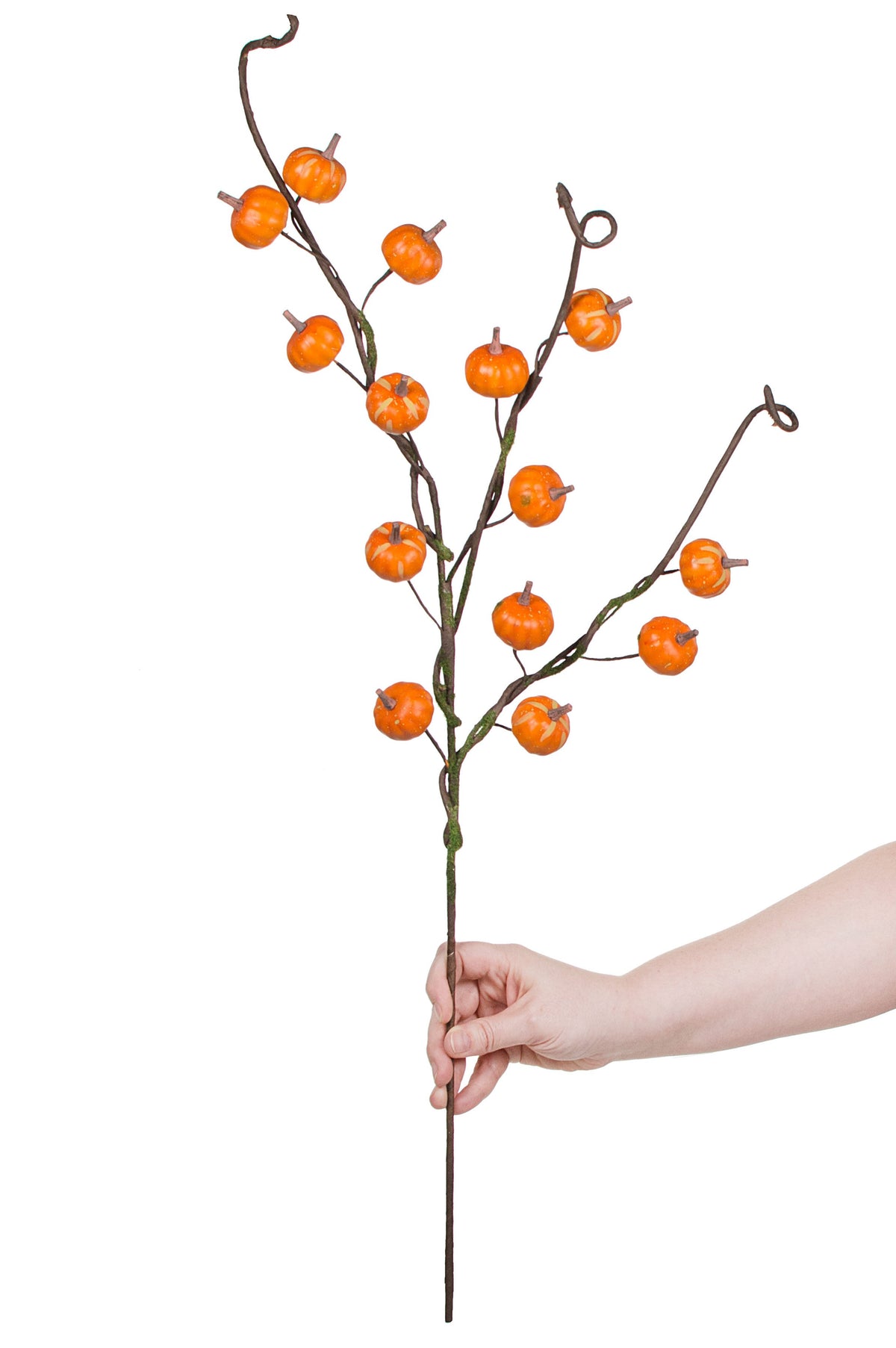 29" Pumpkin Branch Spray: Orange detail photo 4