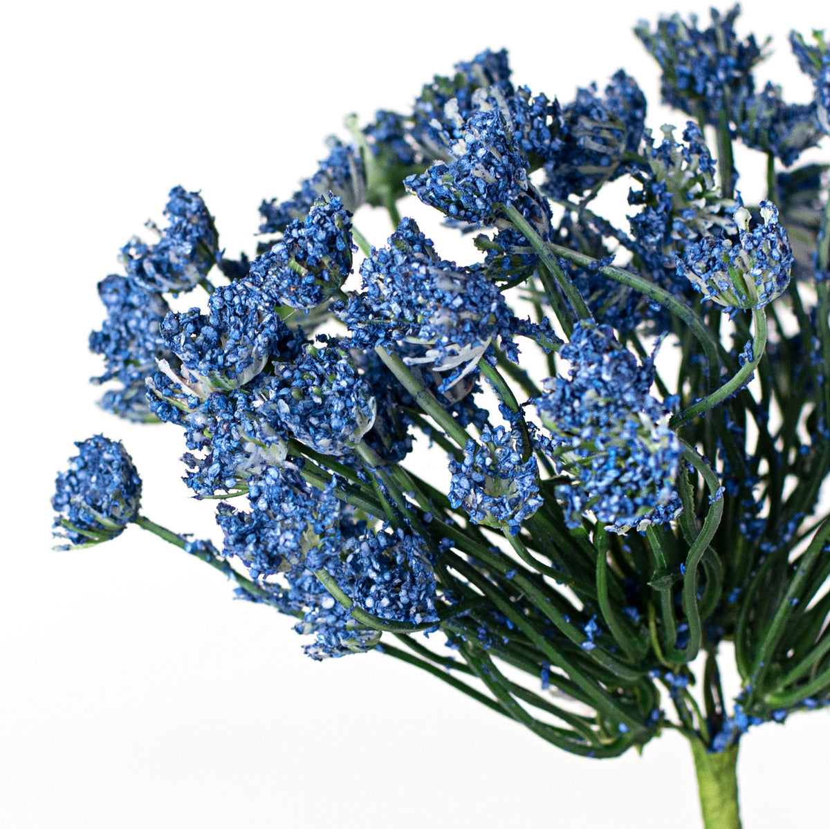 21" Queen Ann Heather Blossom Stem: Blue Lifestyle Photo