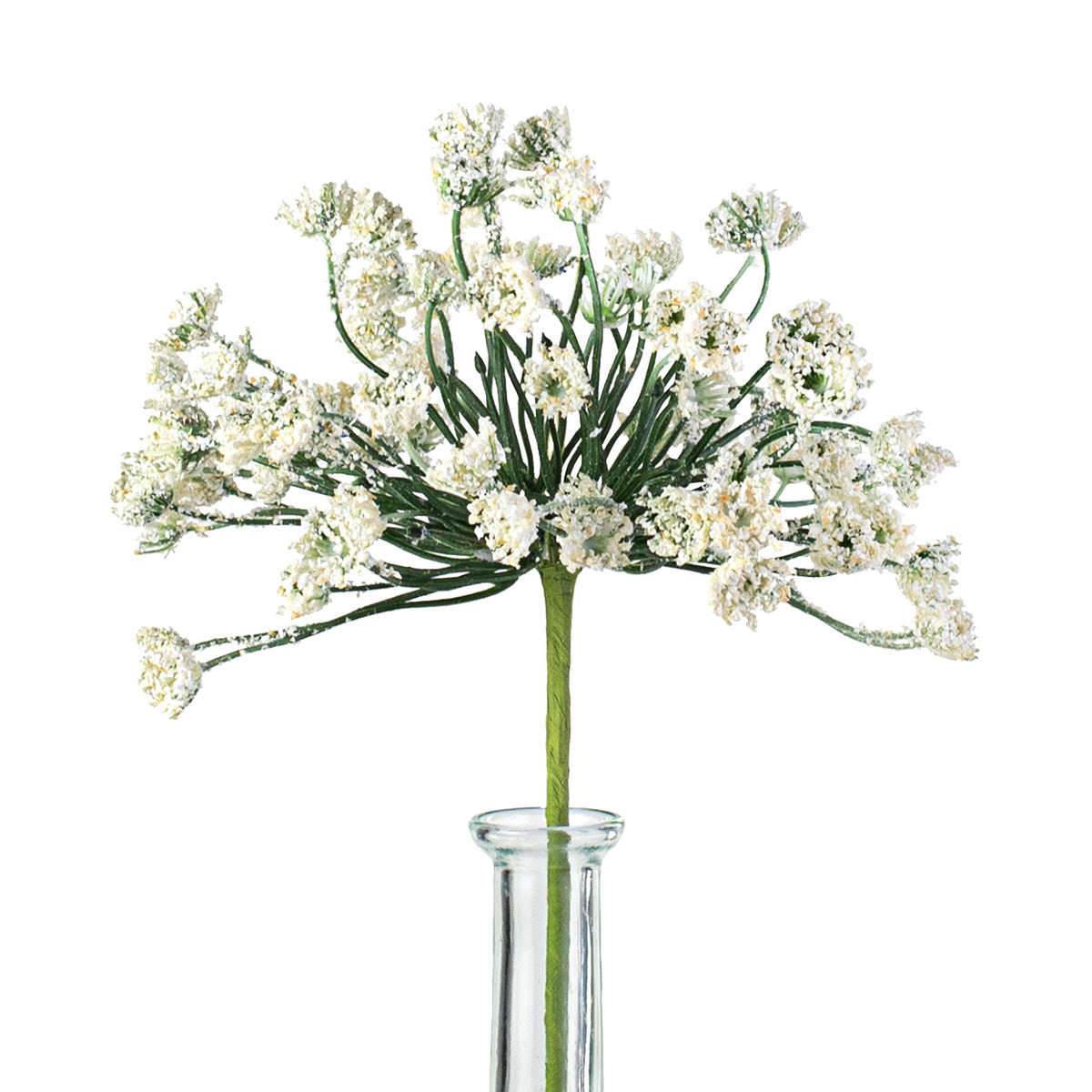 21" Queen Ann Heather Blossom Stem: Cream Item Number: 28931