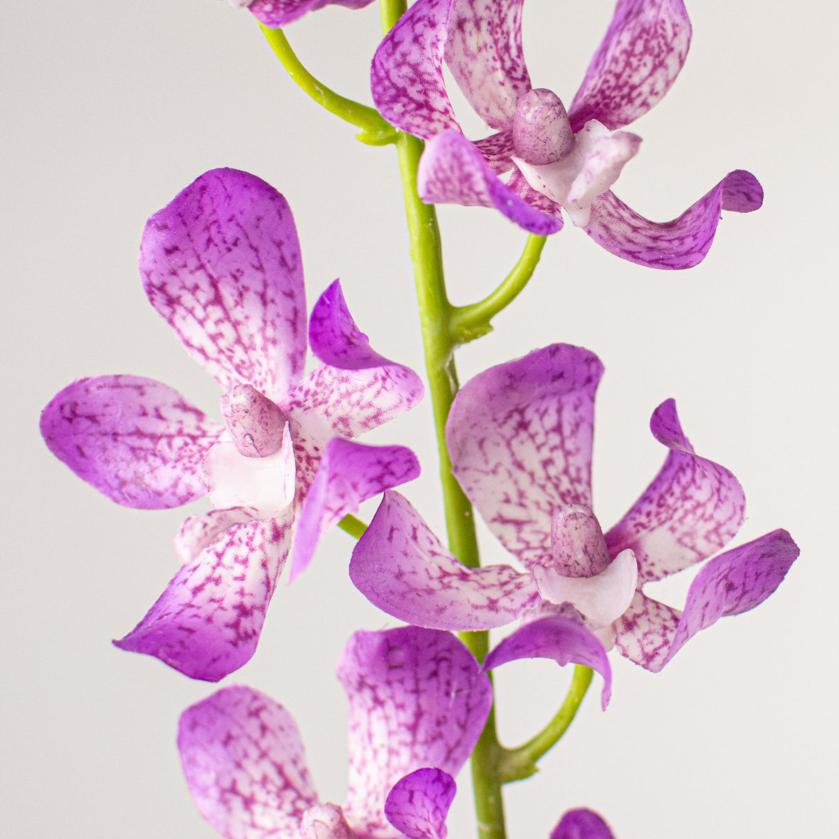 24" Real Touch Mokara Orchid Stem: Purple Lifestyle Photo