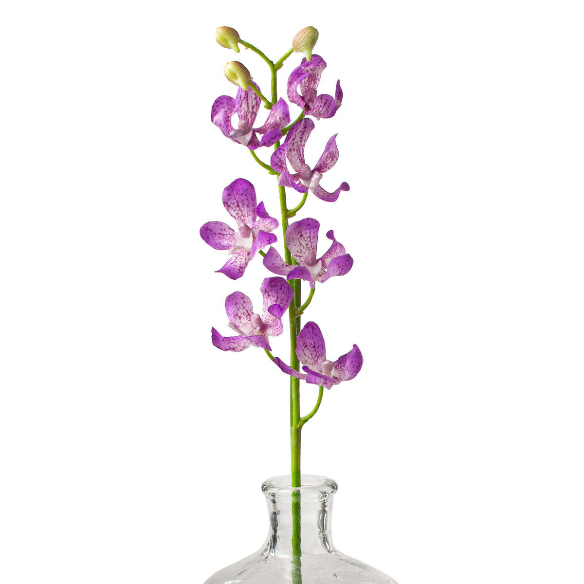 24" Real Touch Mokara Orchid Stem: Purple Item Number: 2230085PP