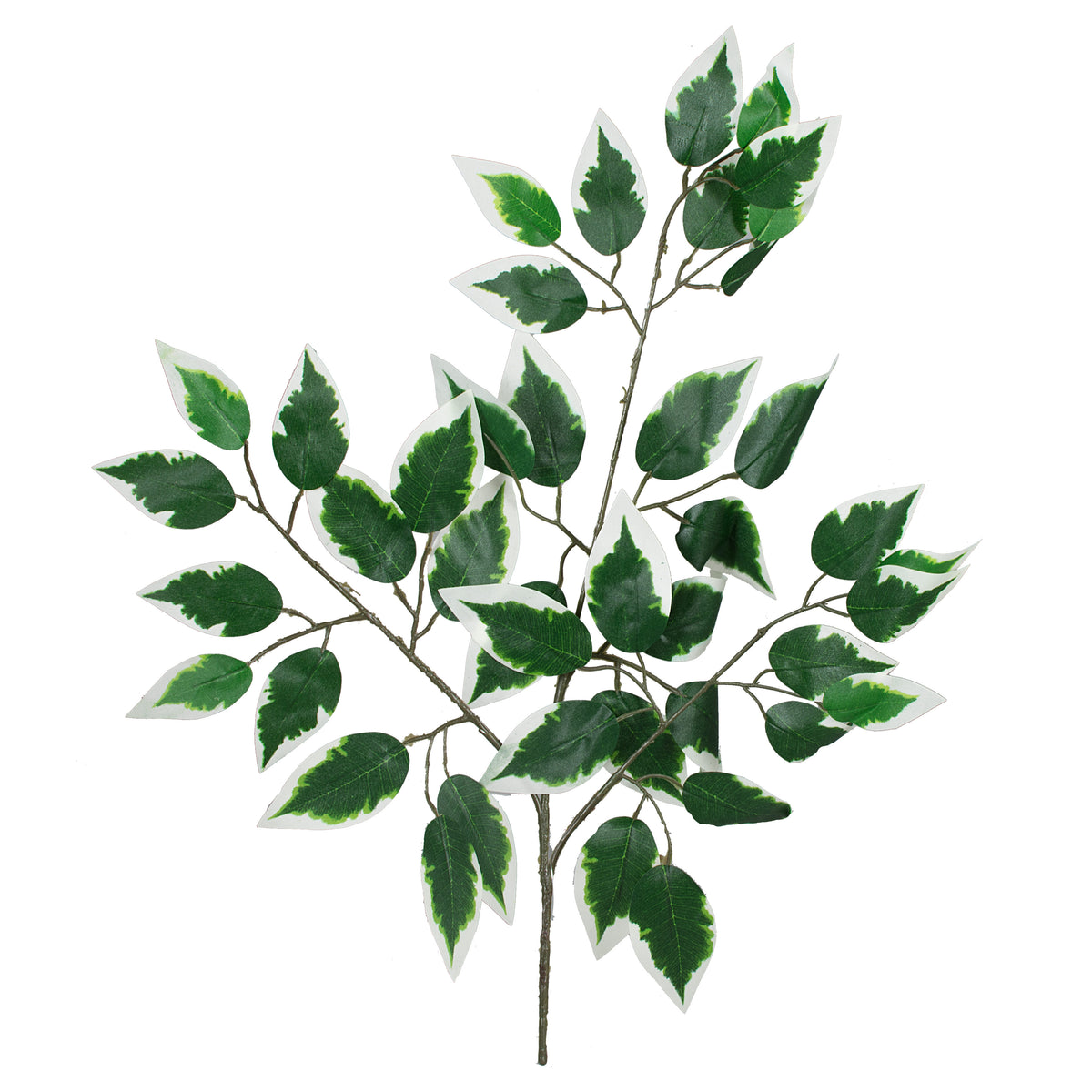 23" Silk Ficus Spray: Green & White (12) Item Number: FG505431