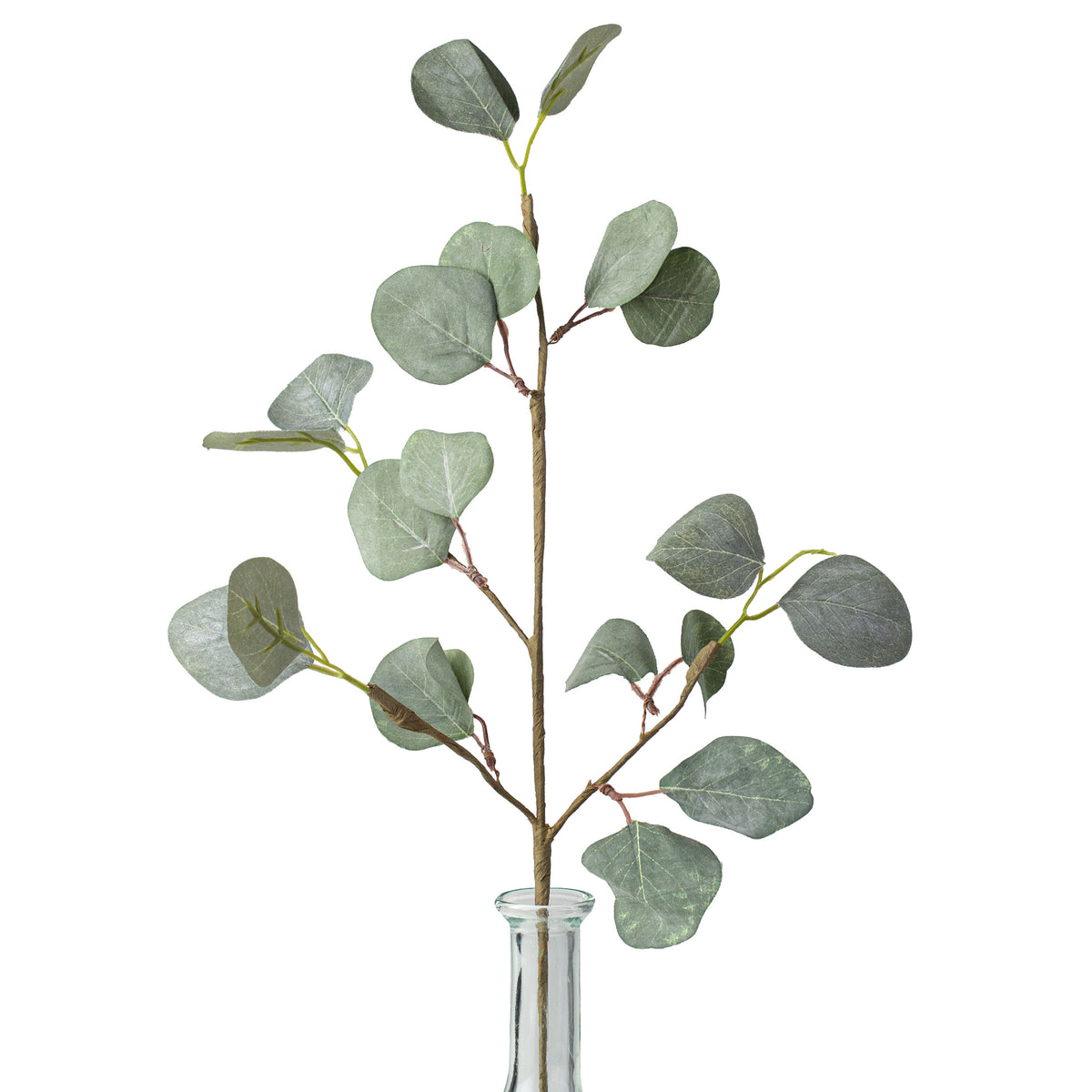 19" Silver Dollar Eucalyptus Pick Item Number: FG5686